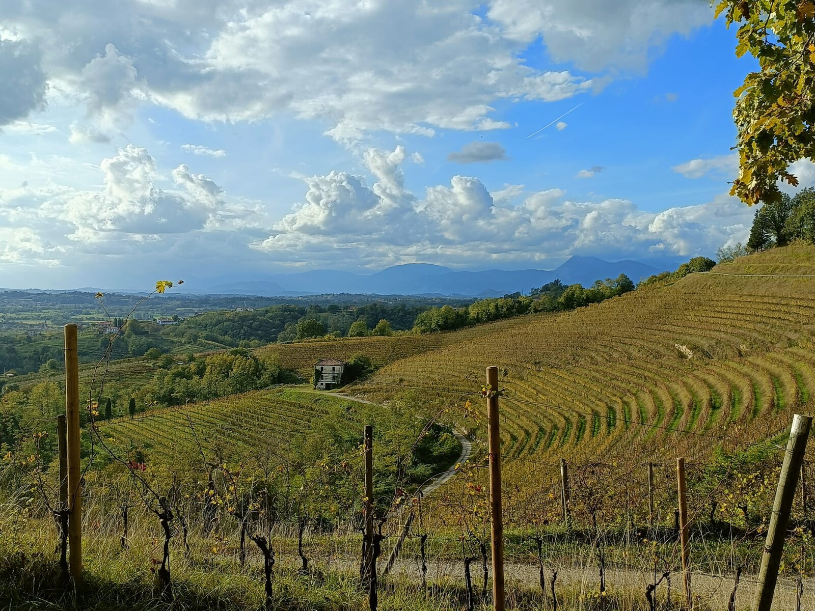 Colline del Friuli Venezia Giulia