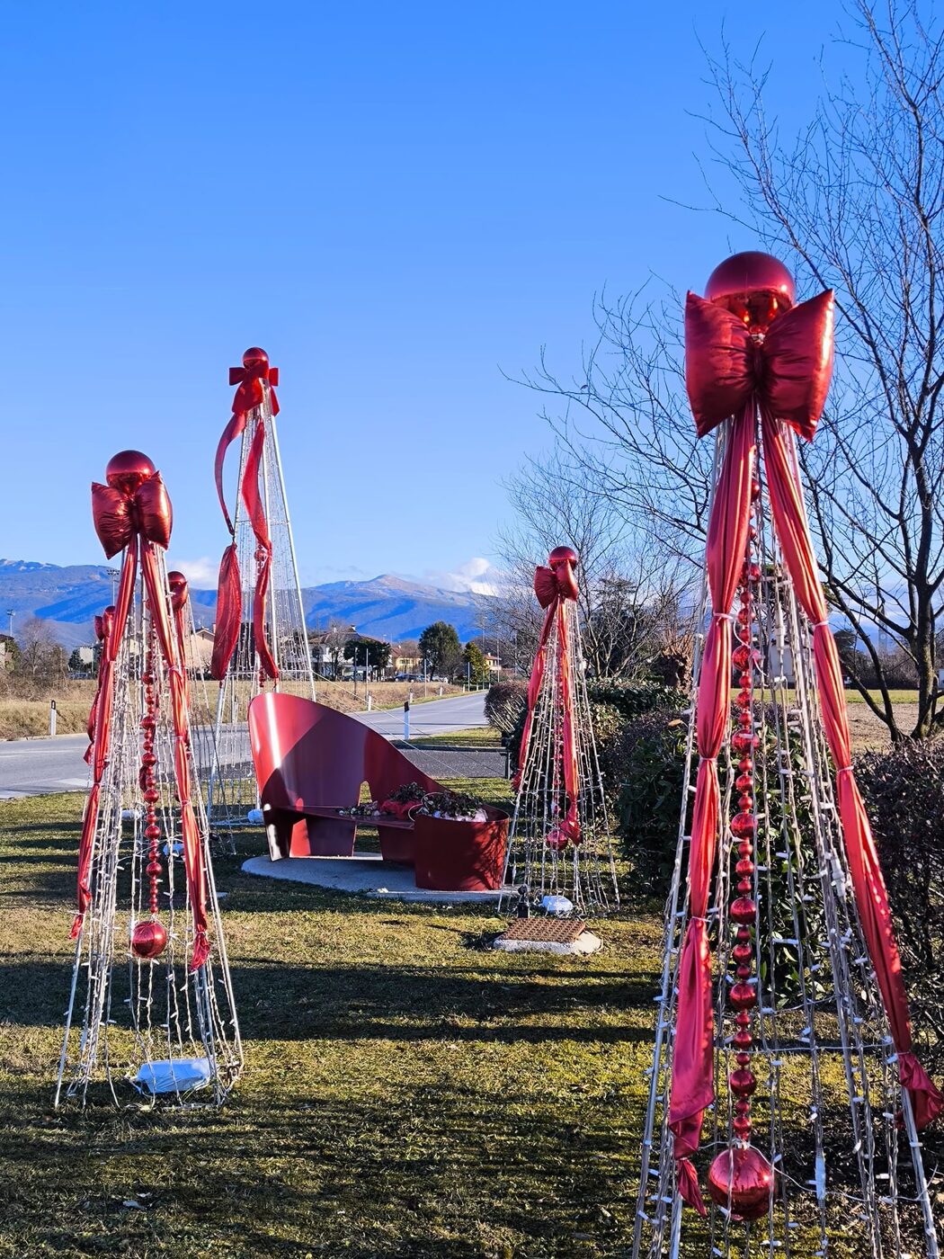 Alberi luminosi con fiocchi rossi
