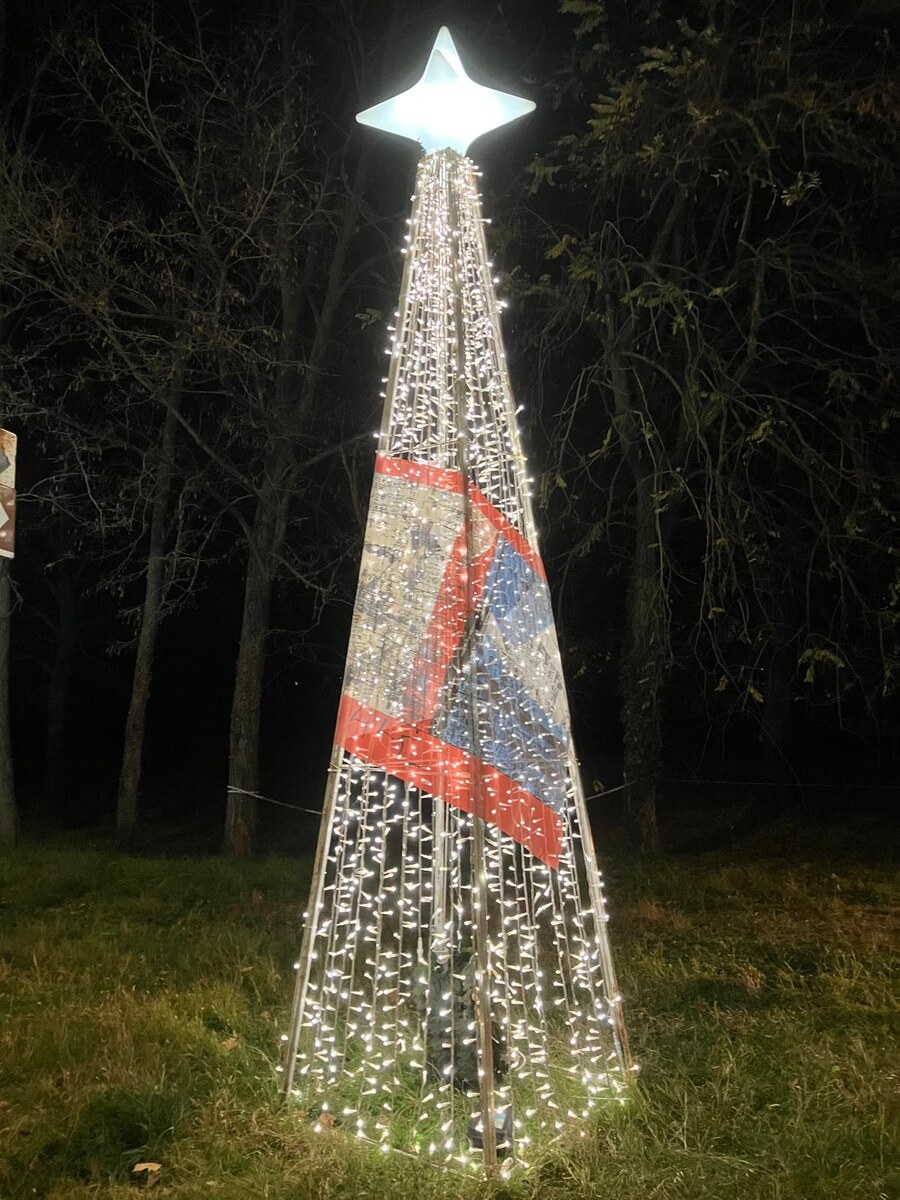 Albero luminoso con stella e telo artistico, in notturna