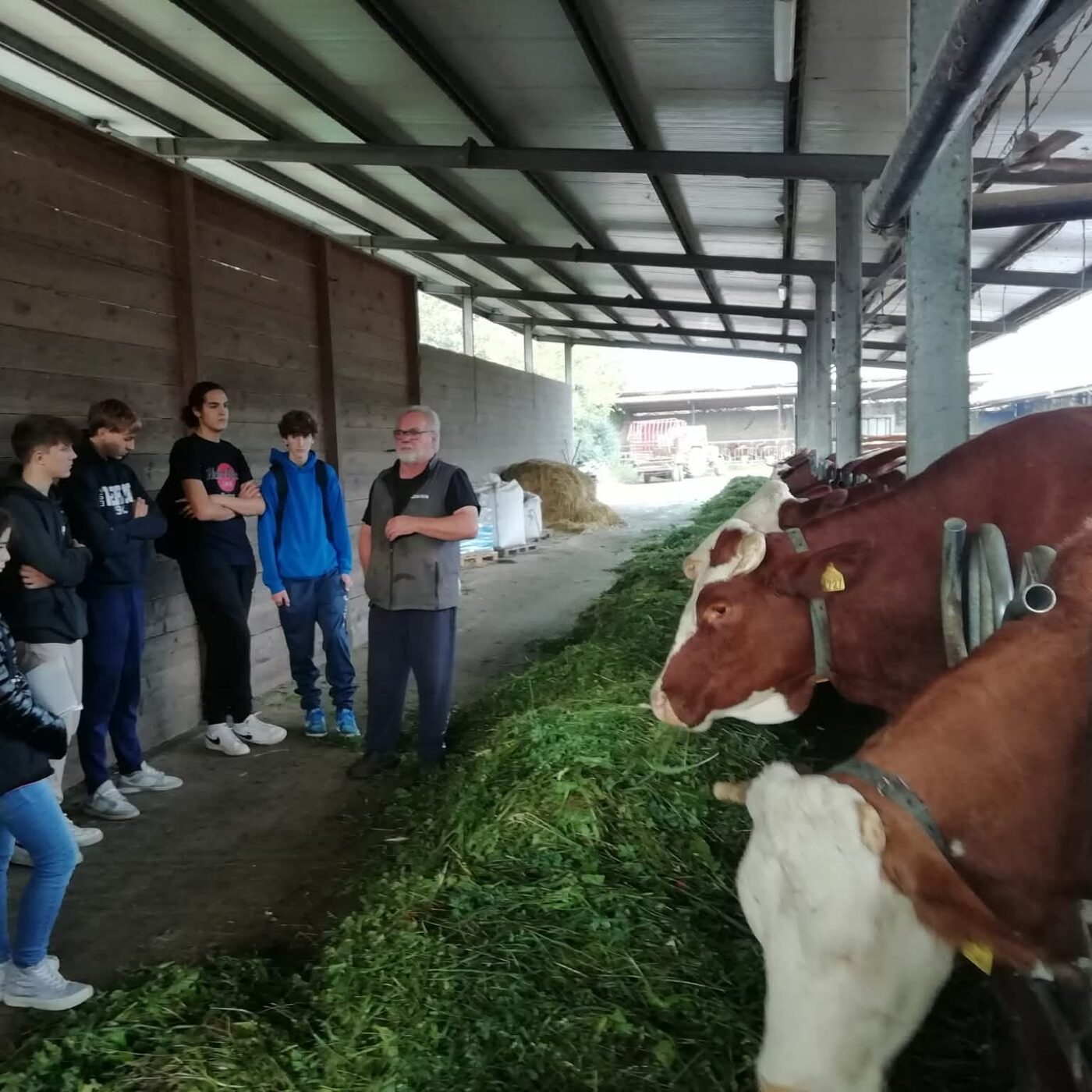 Visita in un'azienda agricola biologica
